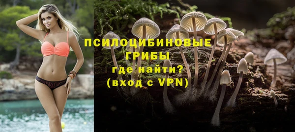 хмурый Бронницы