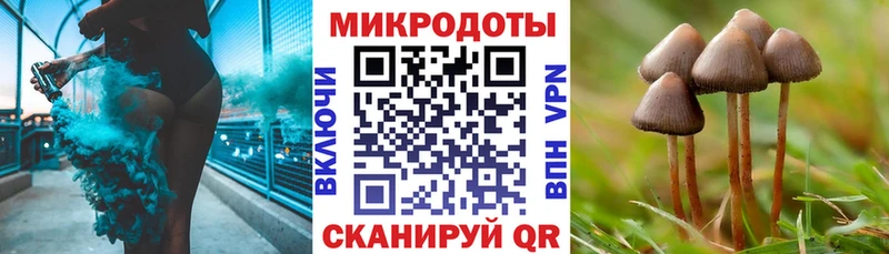 Псилоцибиновые грибы мухоморы  Купить где  Кизел 